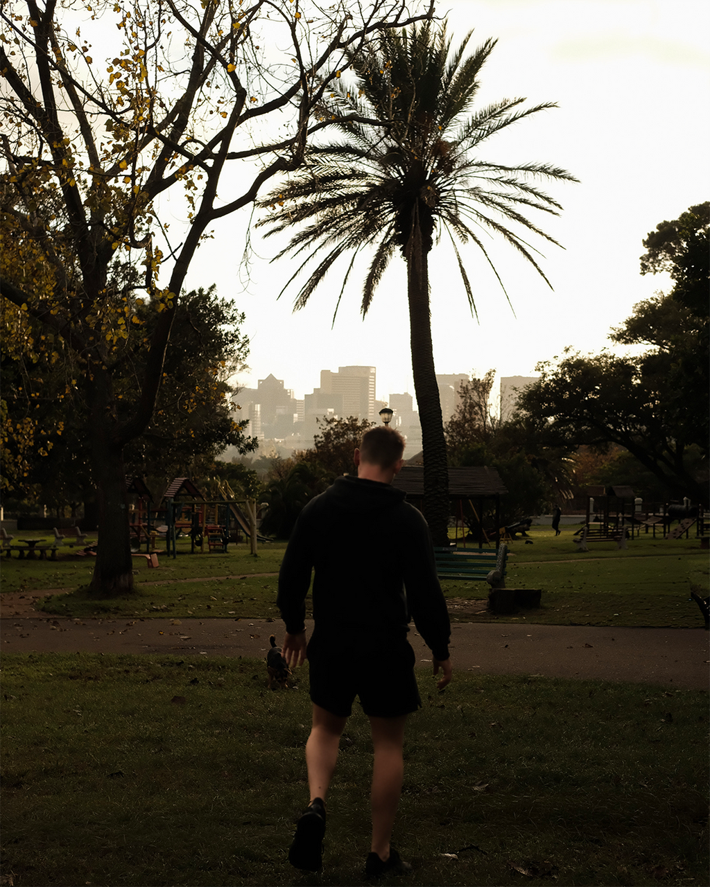 Men's Black Shorts